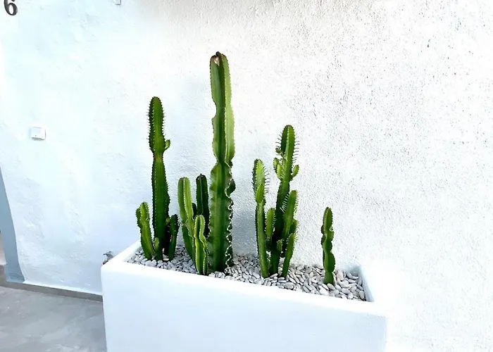 Kalithea-hills 5 & 6 In Old Apartment *